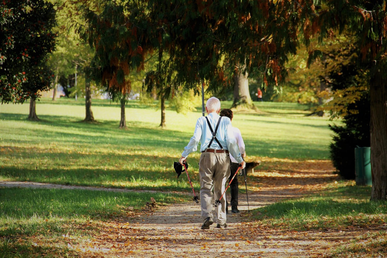 sports, nordic walking, park, fitness, walk, coloured, hike, old people sports, athletic old people, sport nordic walking, healthy, quiet, silence, recreation, athletic, feel young, nature, seniors, autumn day, people, october, trees, leaves, multicoloured, golden autumn, foliage coloring, fall, autumn color, bright, a sunny autumn day, pensioners on Think Lean Live Strong